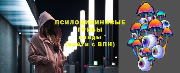 крисы Алексин