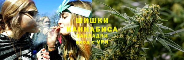ПСИЛОЦИБИНОВЫЕ ГРИБЫ Арсеньев
