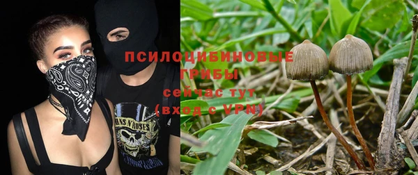 spice Алексеевка