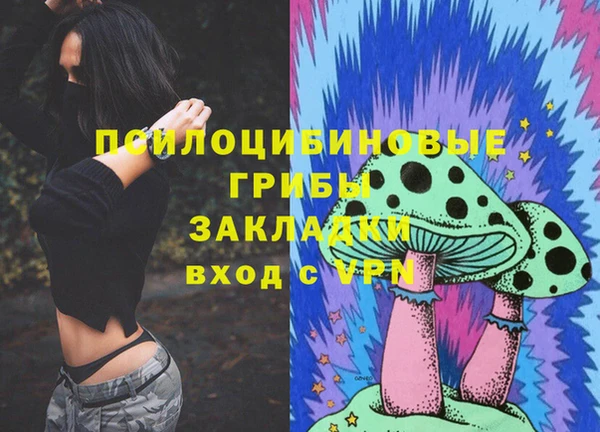 ПСИЛОЦИБИНОВЫЕ ГРИБЫ Арсеньев