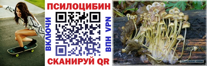 Галлюциногенные грибы Psilocybine cubensis  наркотики  Нефтекамск 