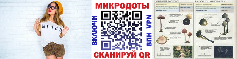 Псилоцибиновые грибы мицелий Нефтекамск