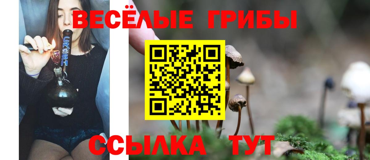 Псилоцибиновые грибы Cubensis Нефтекамск